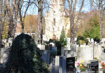 Žatec, Omnium, 2020