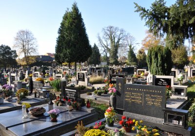 Žatec, Omnium, 2020