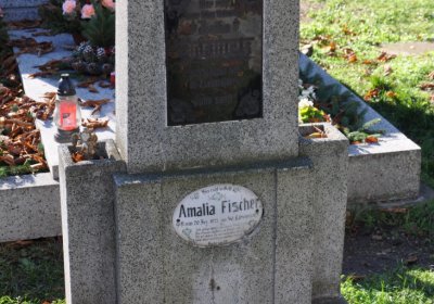 Žatec, Omnium, 2020