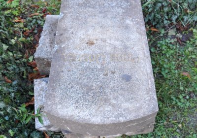 Žatec, Omnium, 2020