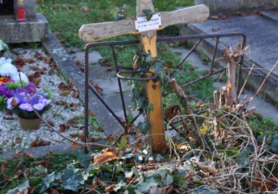 Žatec, Omnium, 2020