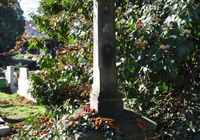 Žatec, Omnium, 2020