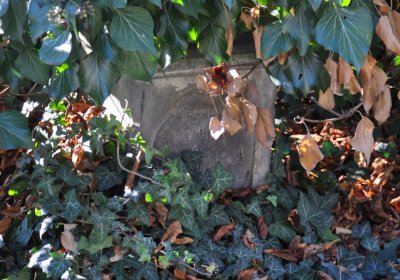 Žatec, Omnium, 2020