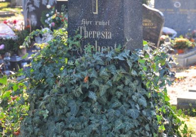 Žatec, Omnium, 2020