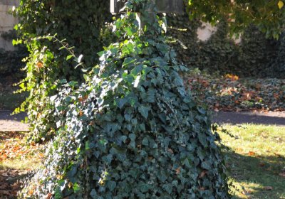 Žatec, Omnium, 2020