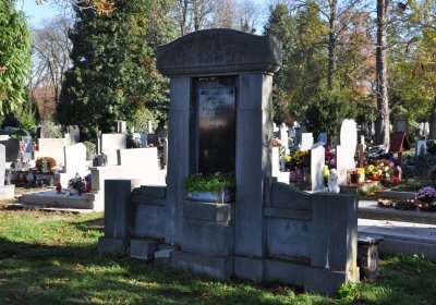 Žatec, Omnium, 2020