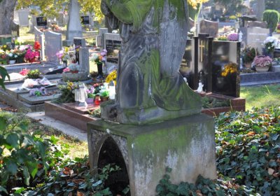 Žatec, Omnium, 2020