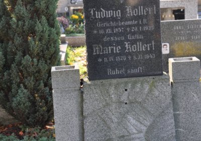 Žatec, Omnium, 2020