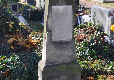 Žatec, Omnium, 2020