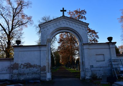 Žatec, Omnium, 2020