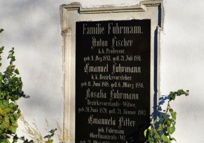 Žatec, Omnium, 2020