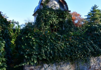 Žatec, Omnium, 2020