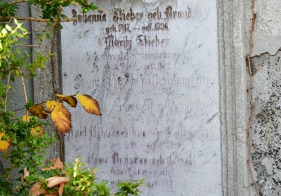 Žatec, Omnium, 2020