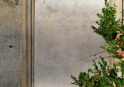 Žatec, Omnium, 2020