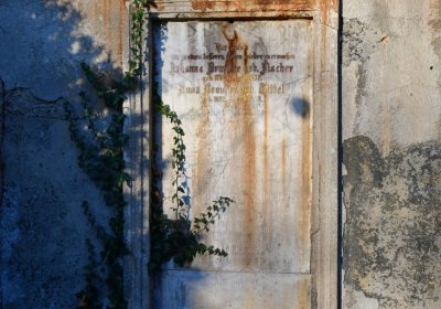 Žatec, Omnium, 2020