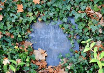 Žatec, Omnium, 2020