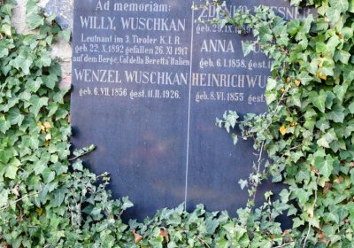 Žatec, Omnium, 2020