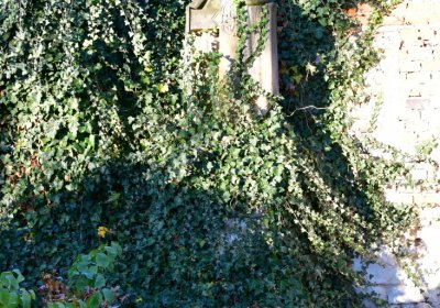 Žatec, Omnium, 2020