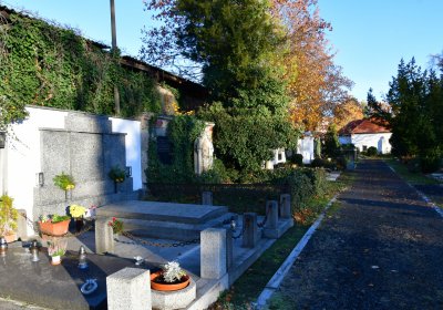 Žatec, Omnium, 2020