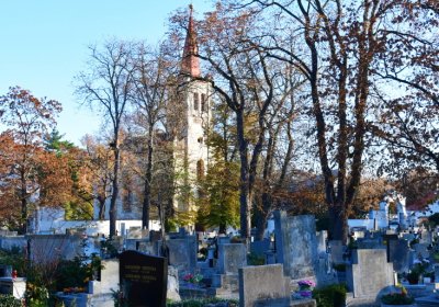 Žatec, Omnium, 2020