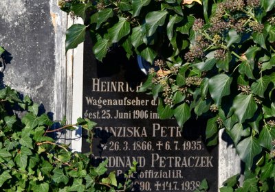 Žatec, Omnium, 2020