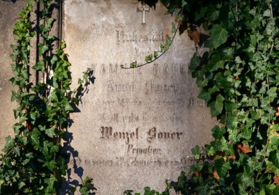 Žatec, Omnium, 2020