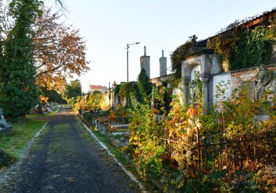 Žatec, Omnium, 2020