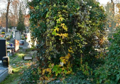 Žatec, Omnium, 2020