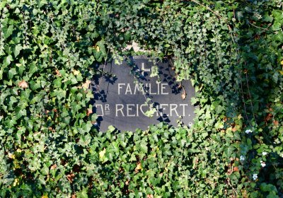 Žatec, Omnium, 2020