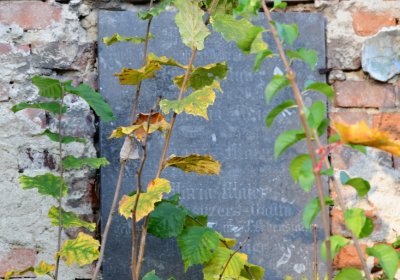 Žatec, Omnium, 2020