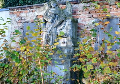 Žatec, Omnium, 2020