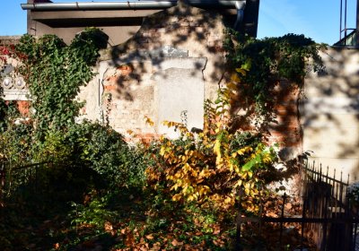 Žatec, Omnium, 2020