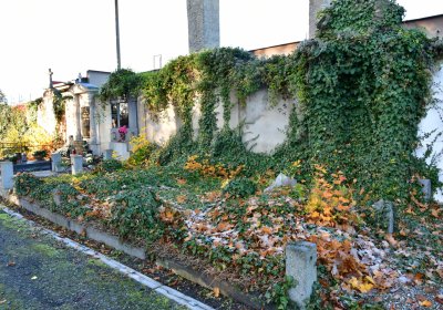 Žatec, Omnium, 2020