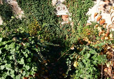 Žatec, Omnium, 2020