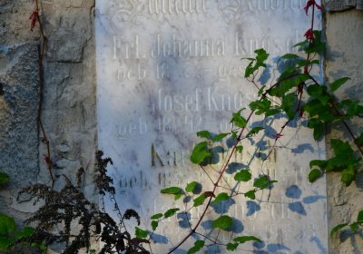 Žatec, Omnium, 2020