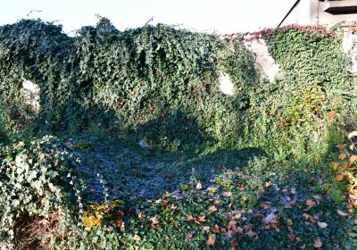 Žatec, Omnium, 2020