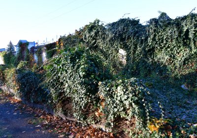 Žatec, Omnium, 2020