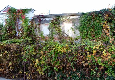 Žatec, Omnium, 2020