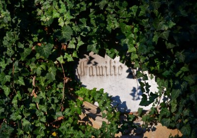 Žatec, Omnium, 2020