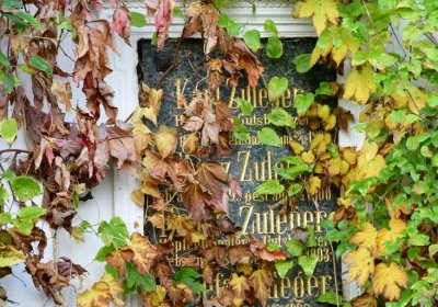 Žatec, Omnium, 2020