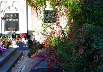 Žatec, Omnium, 2020