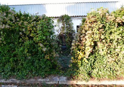 Žatec, Omnium, 2020