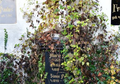 Žatec, Omnium, 2020