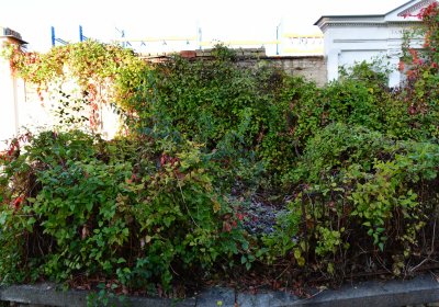 Žatec, Omnium, 2020