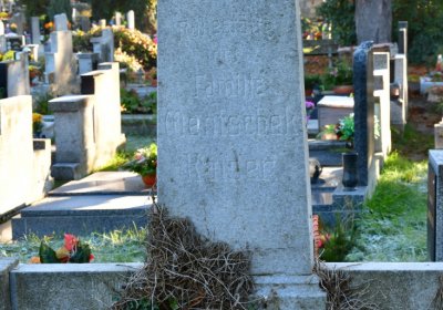 Žatec, Omnium, 2020