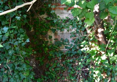 Žatec, Omnium, 2020