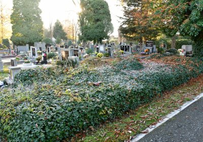 Žatec, Omnium, 2020