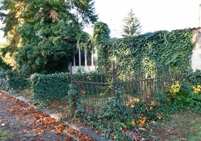 Žatec, Omnium, 2020