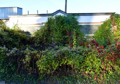 Žatec, Omnium, 2020