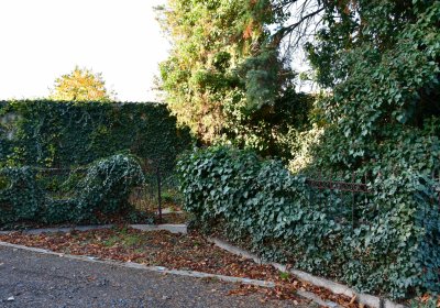 Žatec, Omnium, 2020